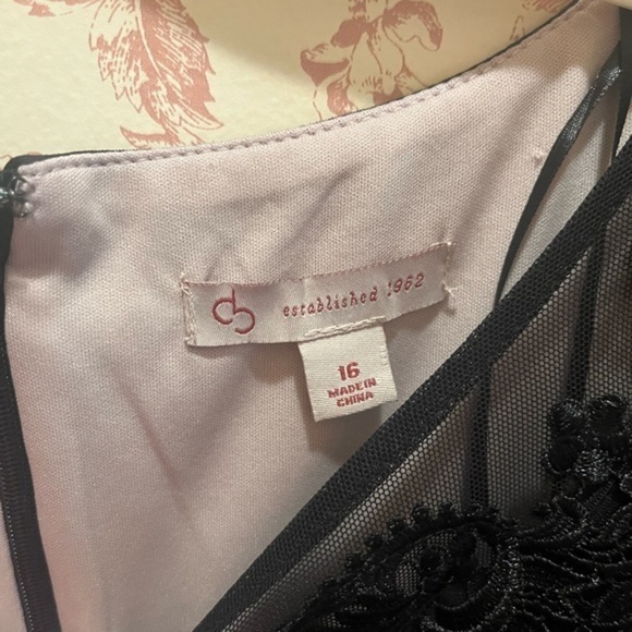 Dress Barn Lace Illusion Dress Size 16 - Picture 4 of 4